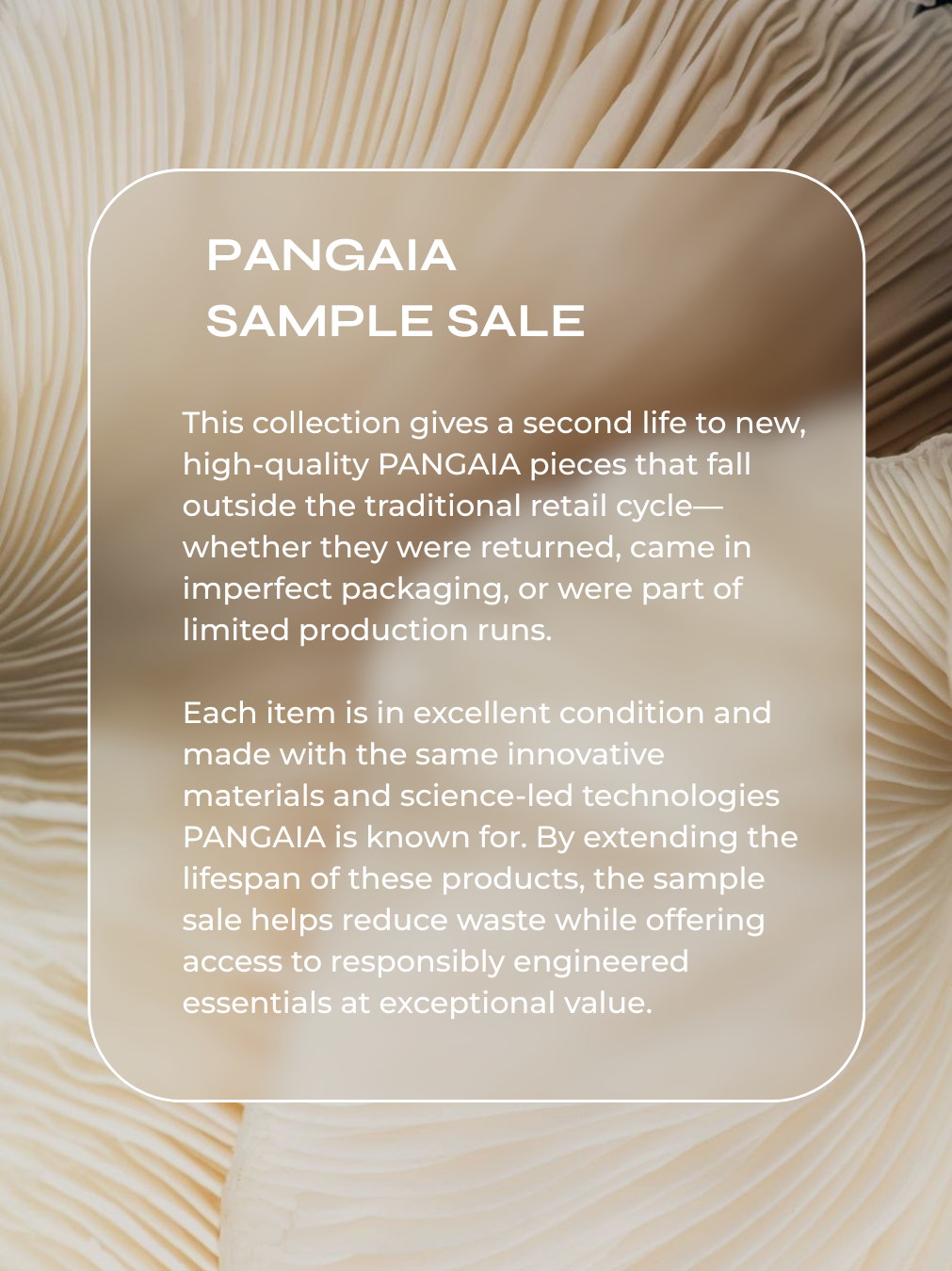 Midweight Half Zip Sweatshirt - Jade Green