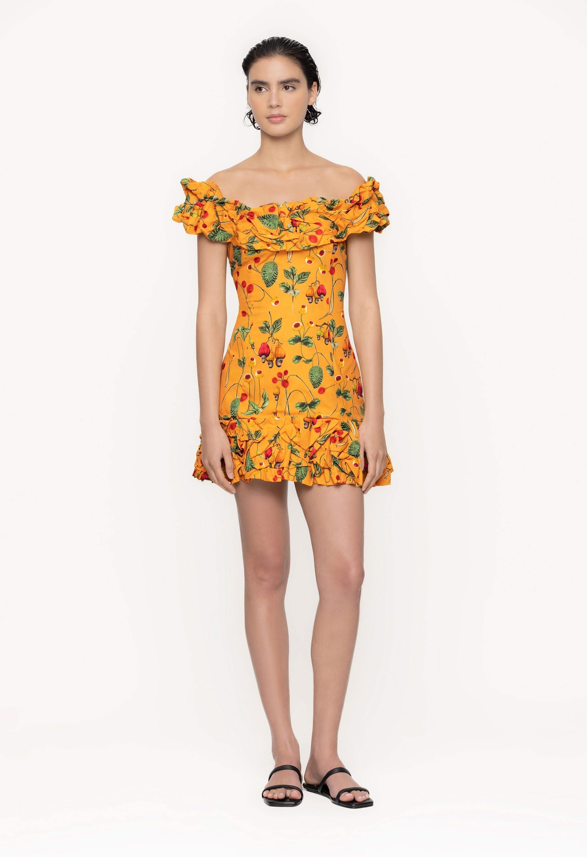 Jardin-Frutal-Cotton-Poplin-Mini-Dress-11223