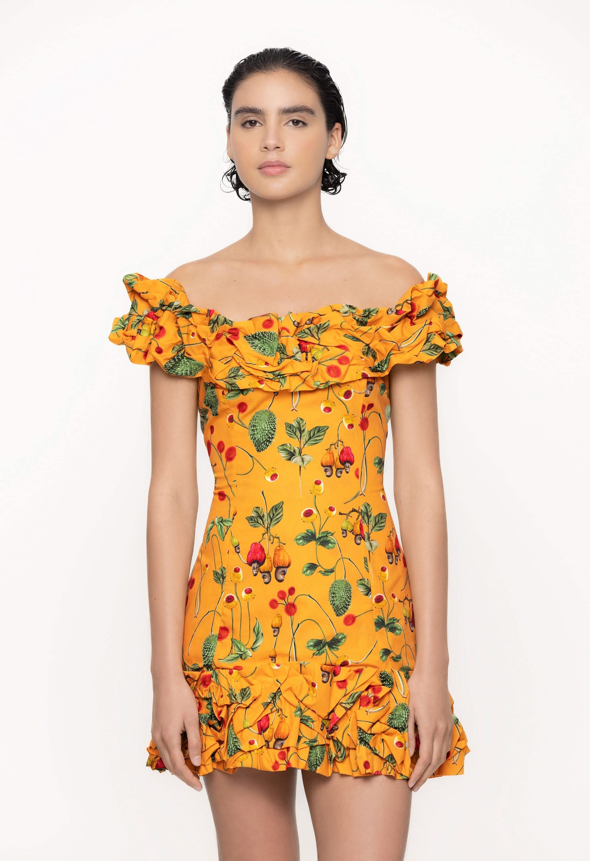 Jardin-Frutal-Cotton-Poplin-Mini-Dress-11223