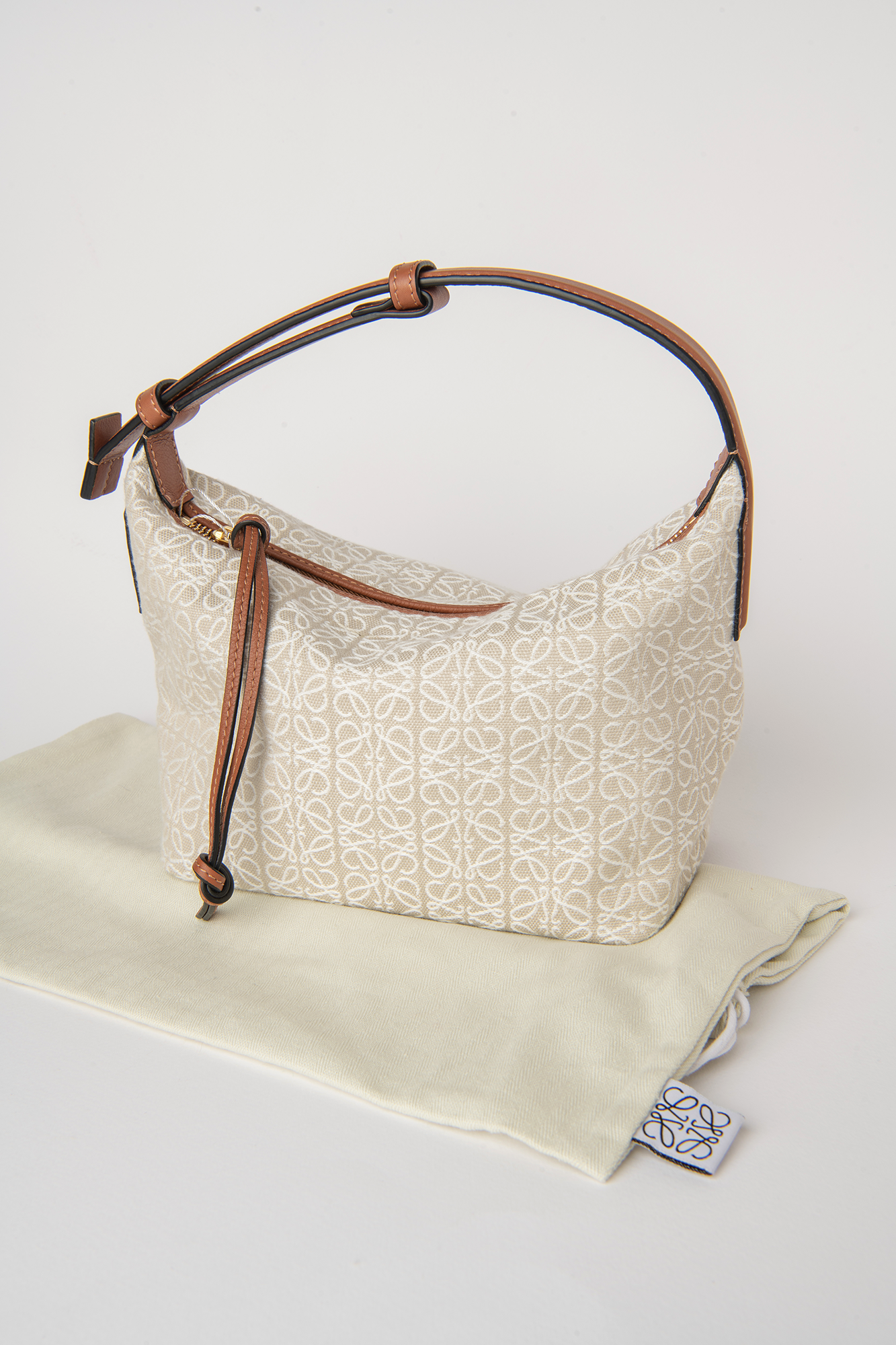 Loewe Small Cubi Bag