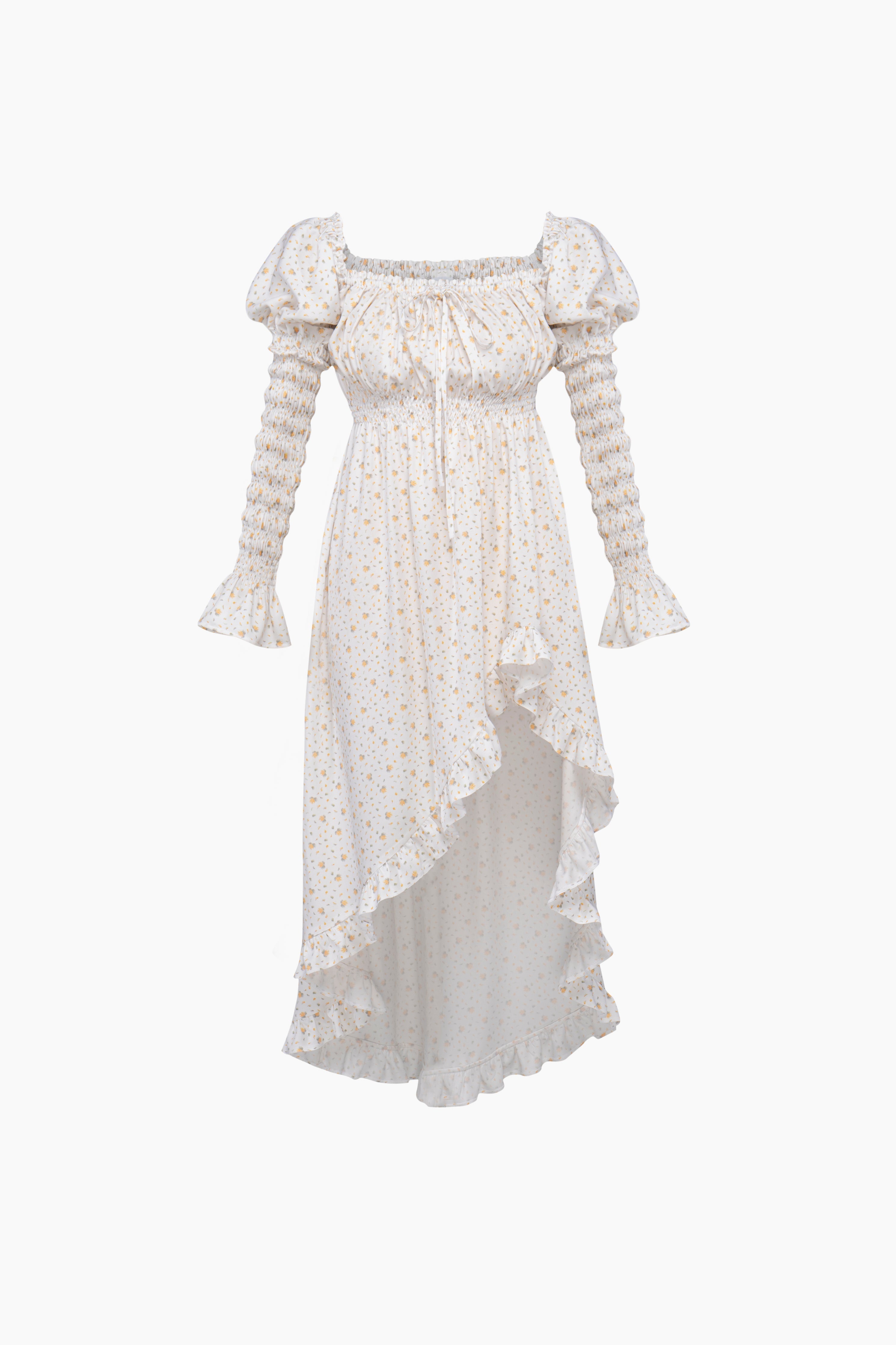 Juliette Shirred Asymmetric Dress in Mimosa Print