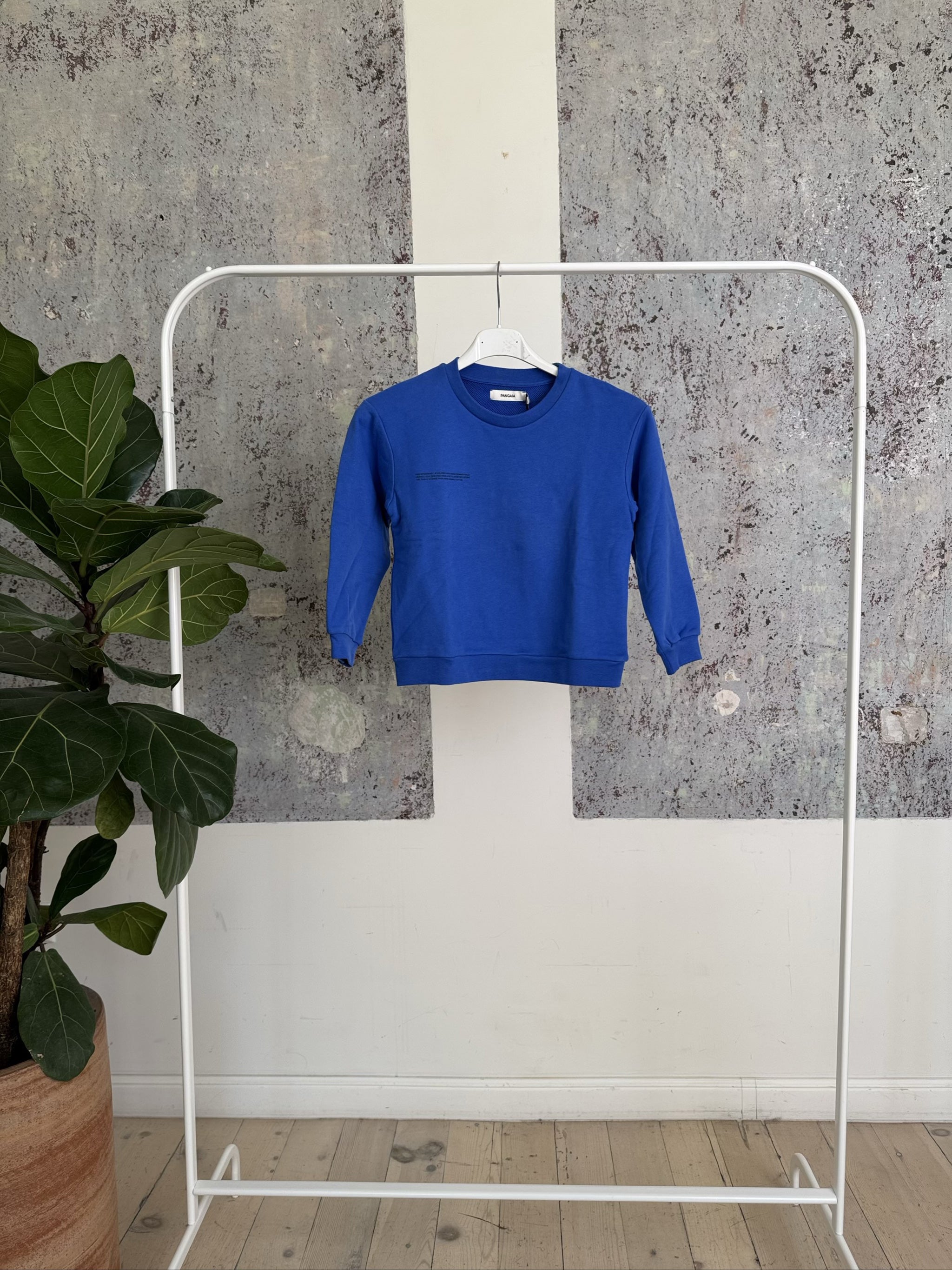 KIDS ORGANIC COTTON SWEATSHIRT 20FCKU02 - COBALT BLUE - 5-6YR