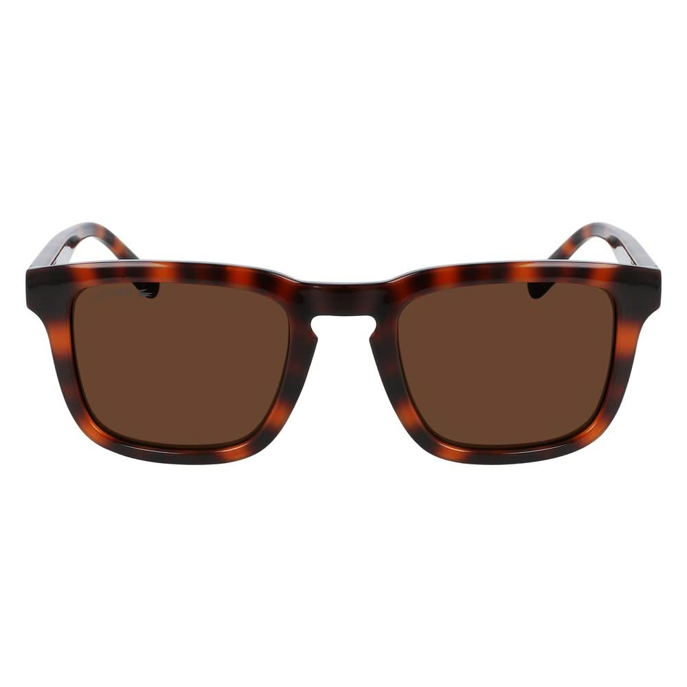 Lacoste Brown Injected Sunglasses