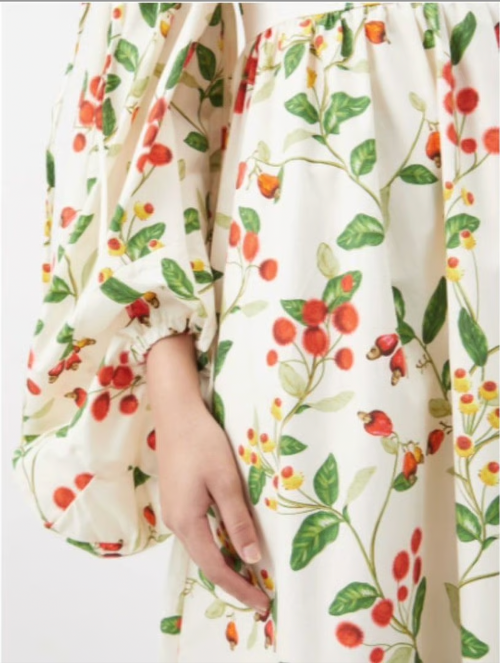 Alheli Frutal Long Dress